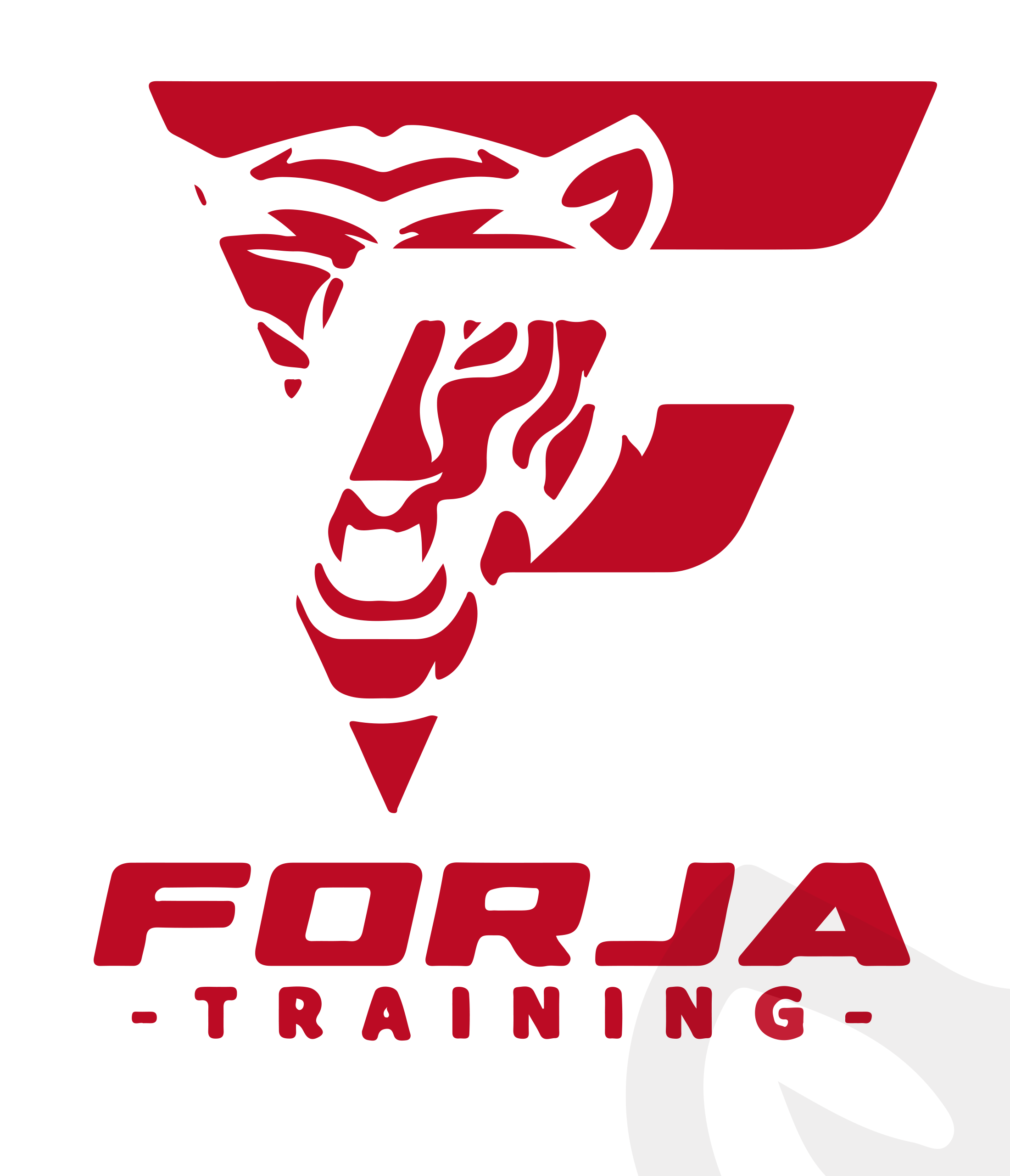 Gym Forja